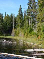 Hai Lake Mount Herman Provincial Park