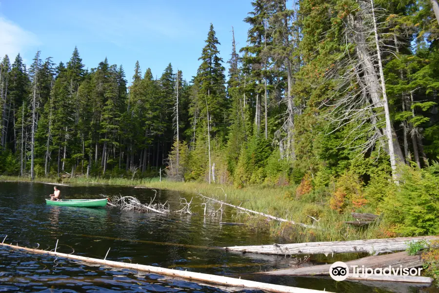 Hai Lake Mount Herman Provincial Park