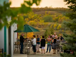 Over the Hill Orchards