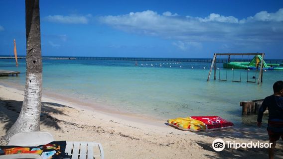 Bannister Caye (Starfish Island)