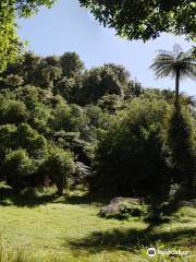 Quarry Car Park - Waitahinga trails