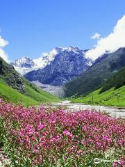 Valley of Flowers National Park