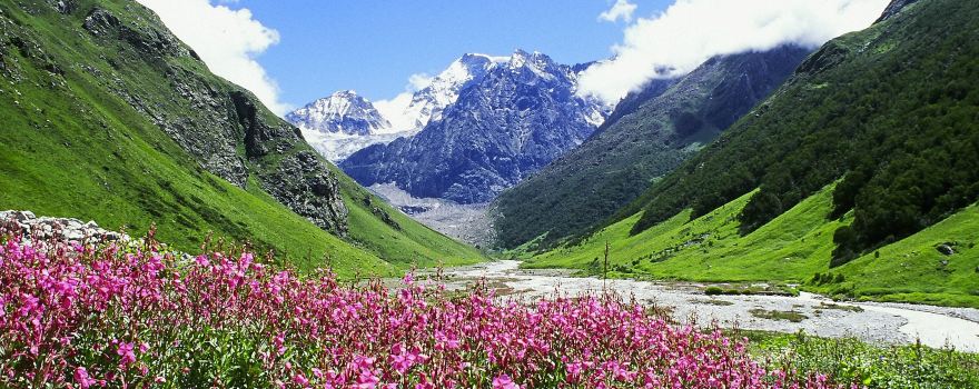Parque Nacional del Valle de las Flores