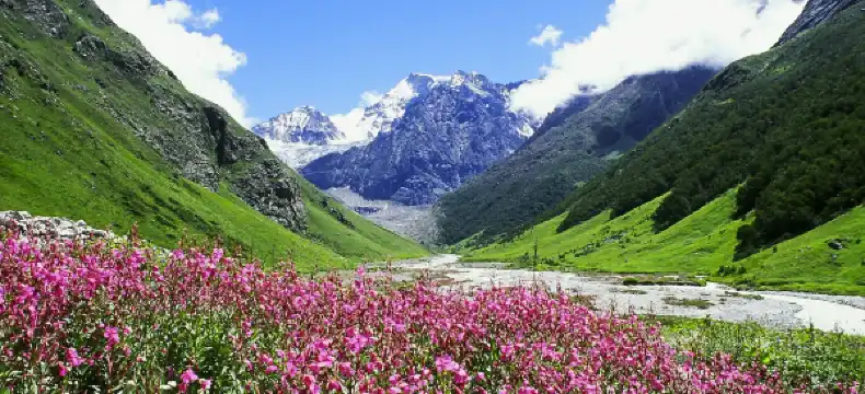 Hotels in Chamoli