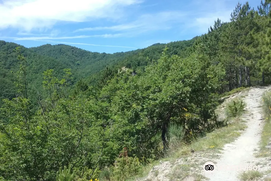 Anello di Càrpano Anello di Carpano