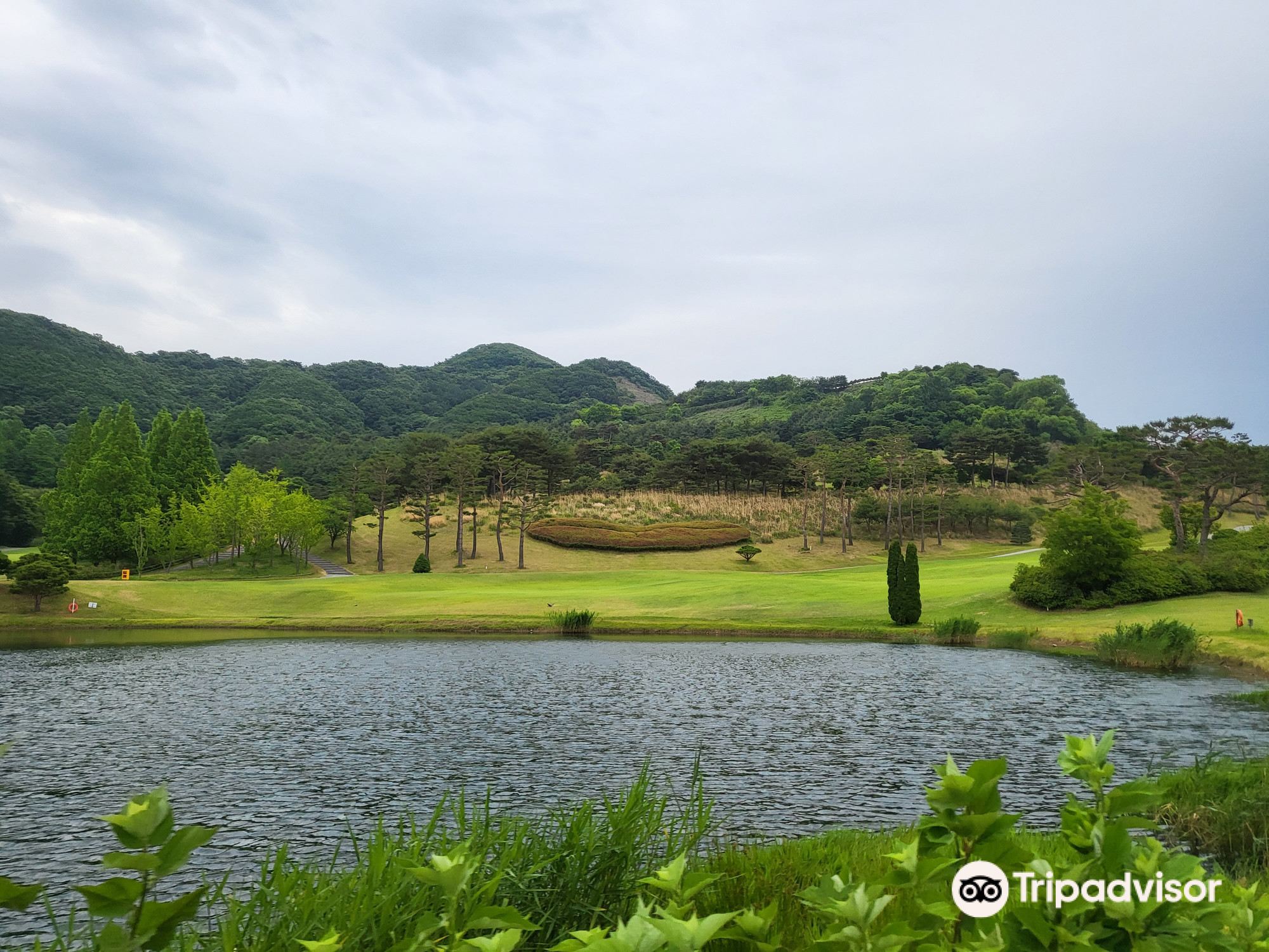 안성베네스트골프클럽 티켓 할인, 운영 시간, 후기 [2025년] | Trip.com