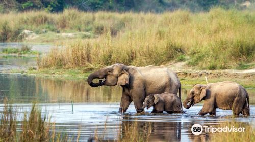 Chitwan Jungle Safari