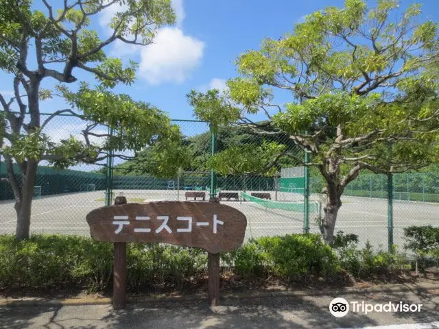 あんずの裏運動公園