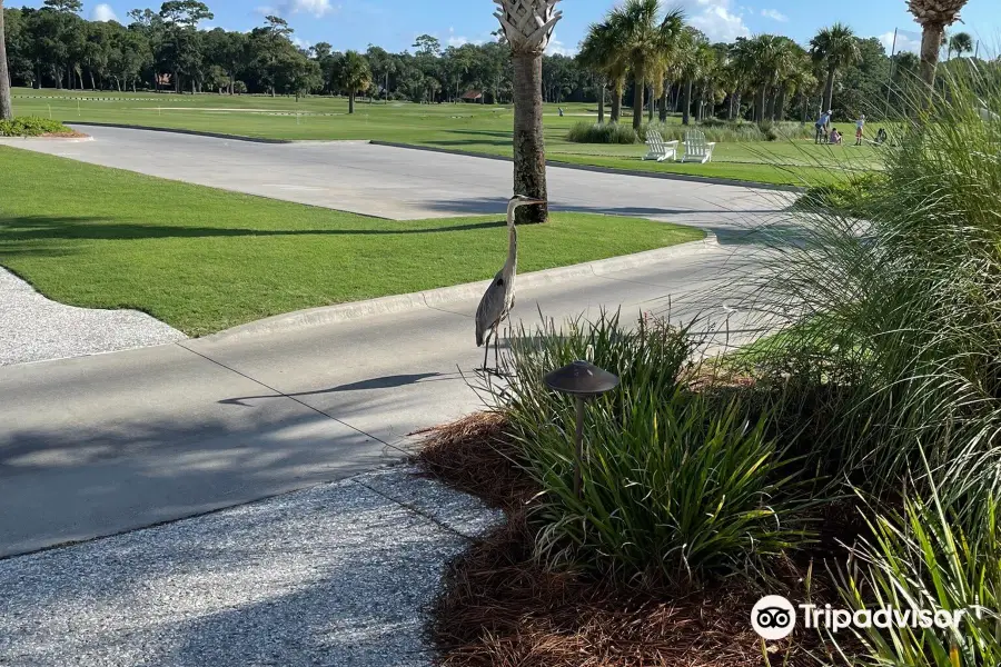 Atlantic Dunes by Davis Love III