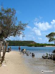 Praia Barra de Gramame