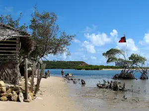 Praia Barra de Gramame