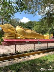 Wat Chak Yai Buddhist Park