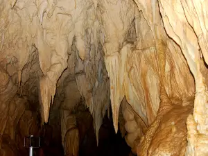 Ruakuri Cave