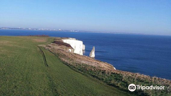 Studland Trekking Centre