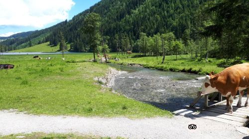 Steirischer Bodensee