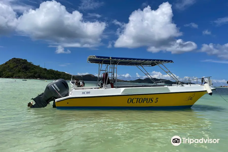 8月Octopus Diving Center的最新旅遊行程（更新於2023）、Octopus Diving Center的評價