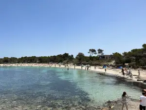 Playa dels Estanys
