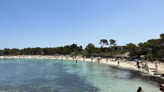 Playa dels Estanys