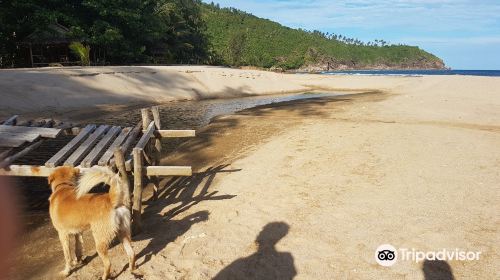 Mae Haad Beach