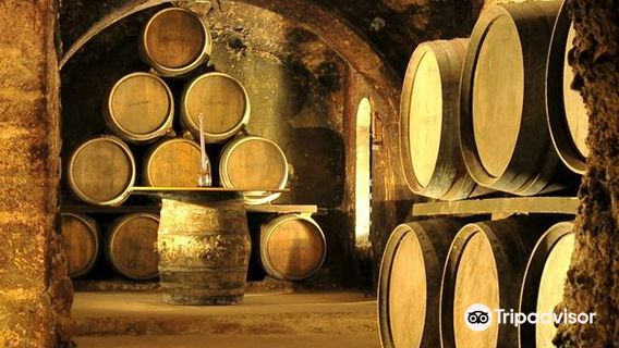 Bodegas Carlos San Pedro Perez de Vinaspre