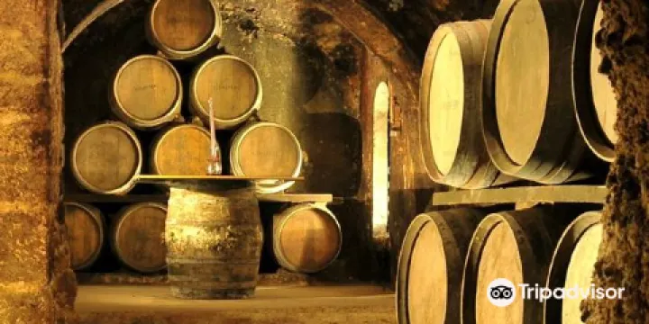 Bodegas Carlos San Pedro Perez de Vinaspre