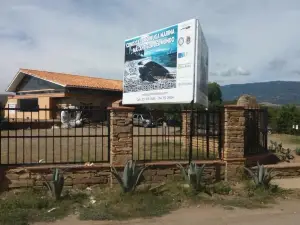 Museo Paleontologico de Villa de Leyva