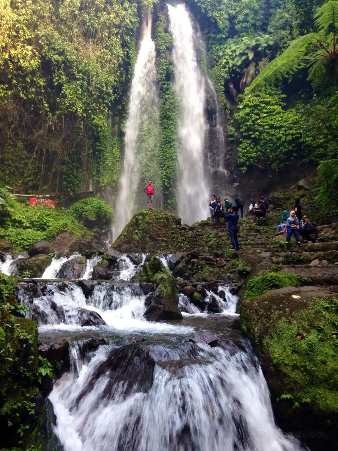 Hotel dekat Air Terjun Jumog