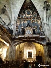 Morella Defensive Walls