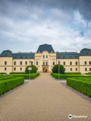 Vihorlatske Museum