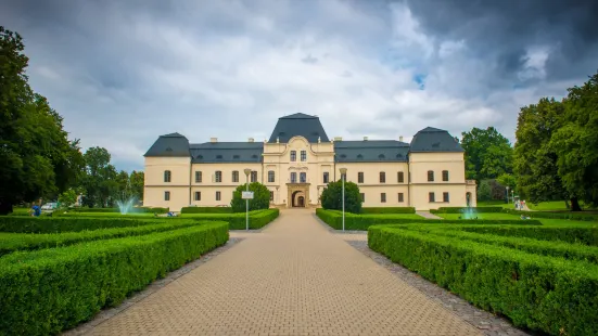 Vihorlatske Museum