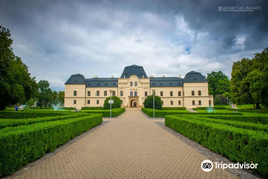 Vihorlatske Museum