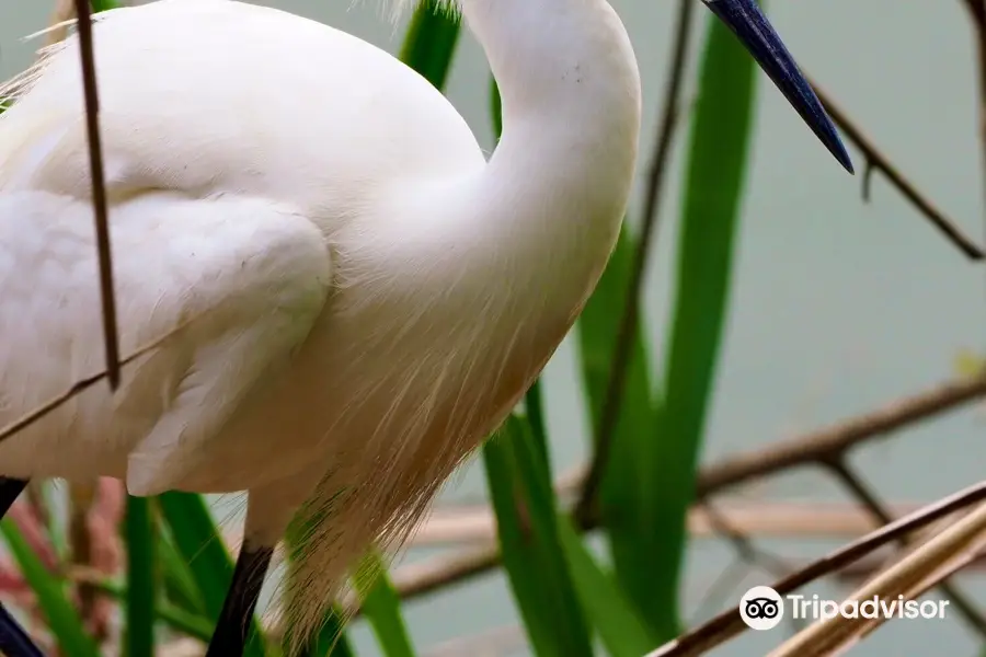 國家野生動物園