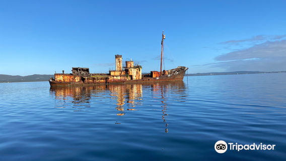 King George Sound Safari