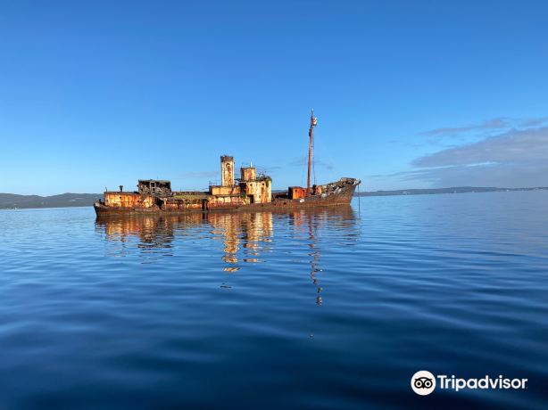 King George Sound Safari