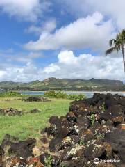 Ancient Hawaiian Kukui Heiau