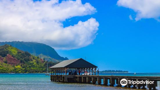 Hanalei Beach