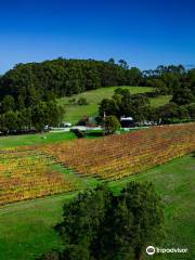 Waratah Hills Vineyard