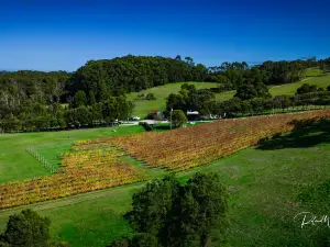 Waratah Hills Vineyard