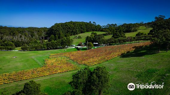 Waratah Hills Vineyard
