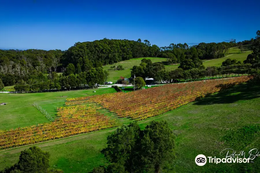 Waratah Hills Vineyard