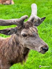 Snettisham Park