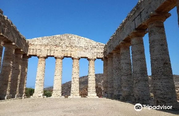 Parco Archeologico門票+往返巴士接送成人