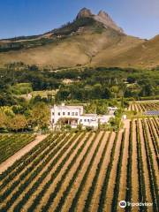 Mitre's Edge Wine Estate - Best Boutique Wine Farm Stellenbosch | Cheese & Wine Tasting Stellenbosch