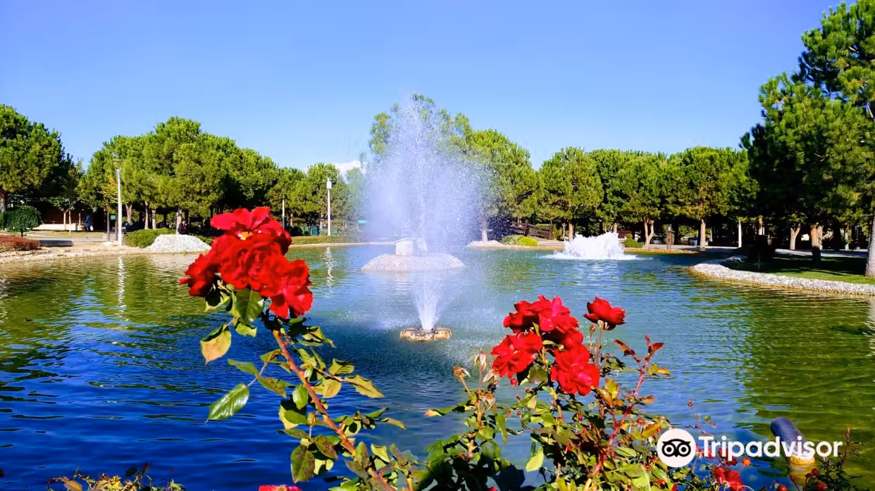 Tiket pesawat Sofia Denizli