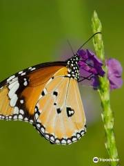 Butterfly park - Ovalekar Wadi
