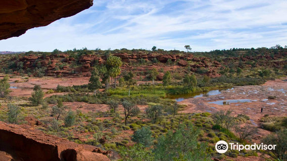 Finke Gorge National Park