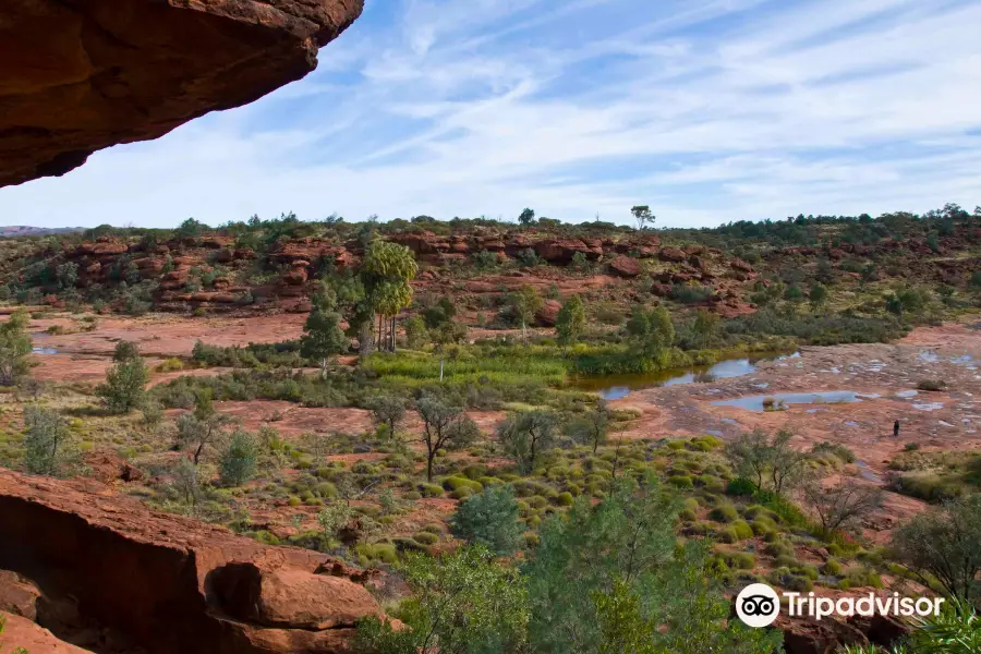 Finke Gorge National Park