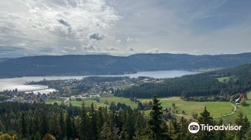 Riesenbuhlturm in Schluchsee