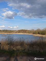 RSPB Middleton Lakes