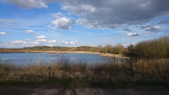 RSPB Middleton Lakes